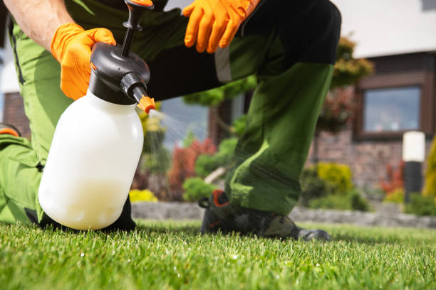 Best Wasp Removal Services  in Attica, IN