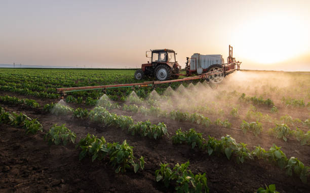 Best Pest Control Cost  in Attica, IN
