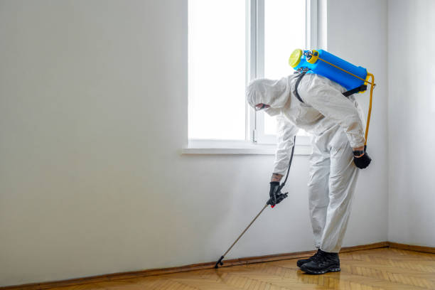 Best Termite Control Services  in Attica, IN