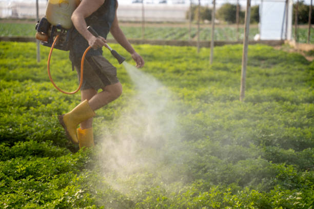 Best Pest Control Near Me in Attica, IN
