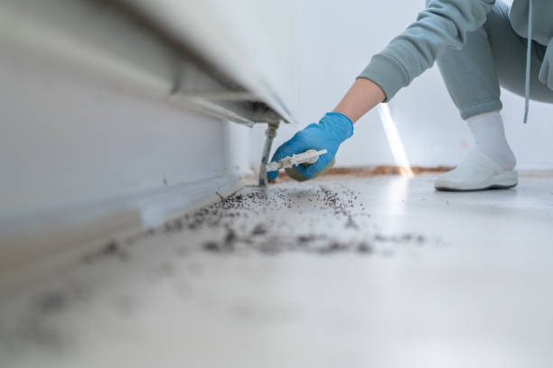 Best Emergency Pest Control  in Attica, IN